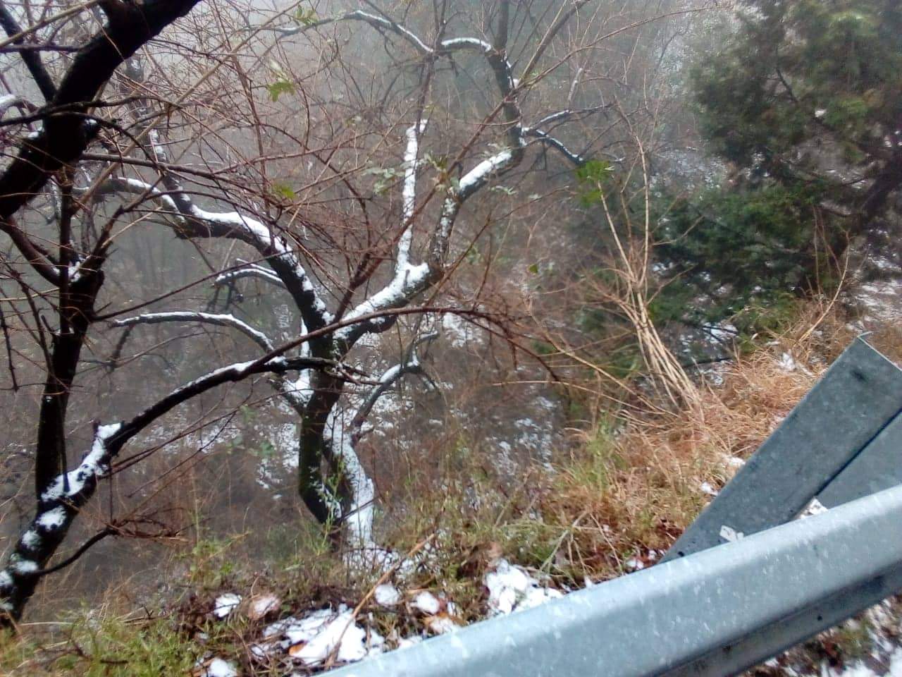 third time snowfall in nainital tourist enjoyed