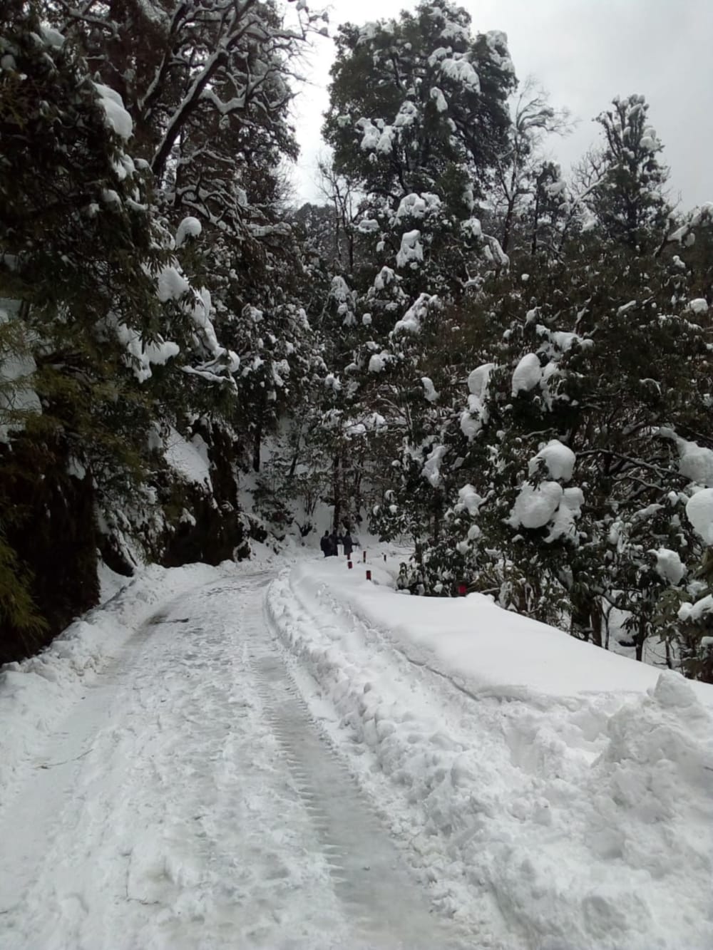 Snowfall in uttarakhand Sick woman not get treatment