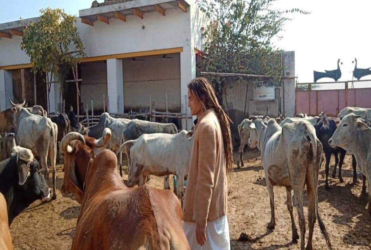 German's friedrich irina bruning sudevi dasi got padma shri for gau seva in mathura