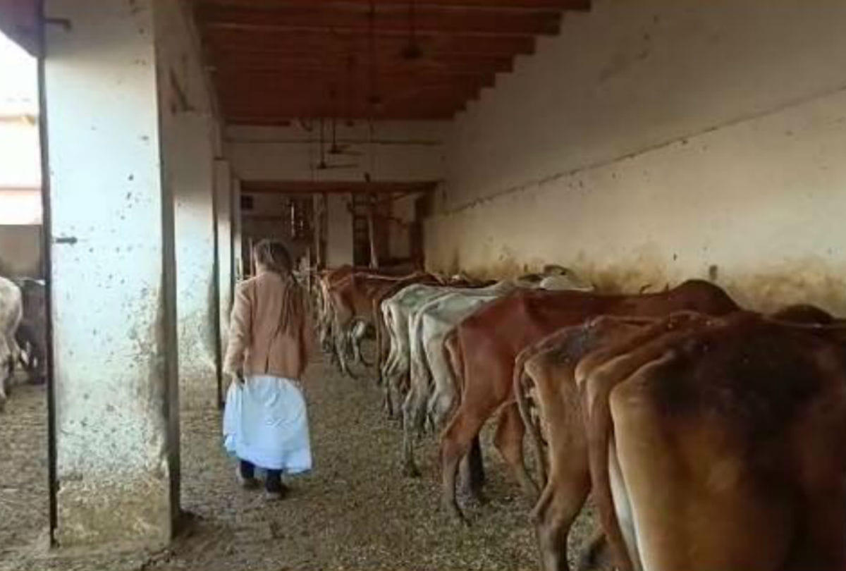 German's friedrich irina bruning sudevi dasi got padma shri for gau seva in mathura