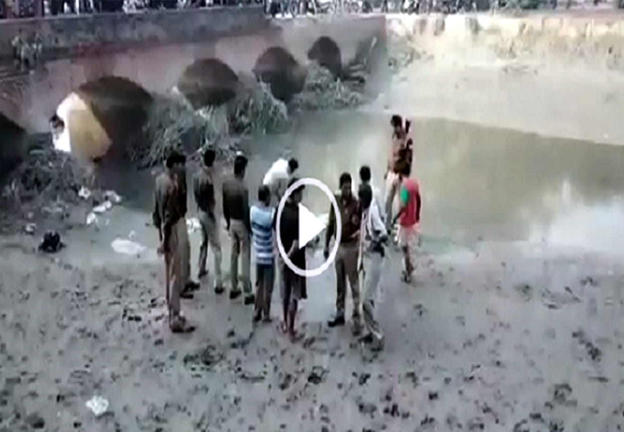 59 bodies of animals found in 3 days in kanpur dehat