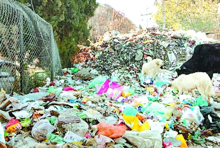 बीएसएनएल कॉलोनी के बाहर लगे कूड़े के ढेर