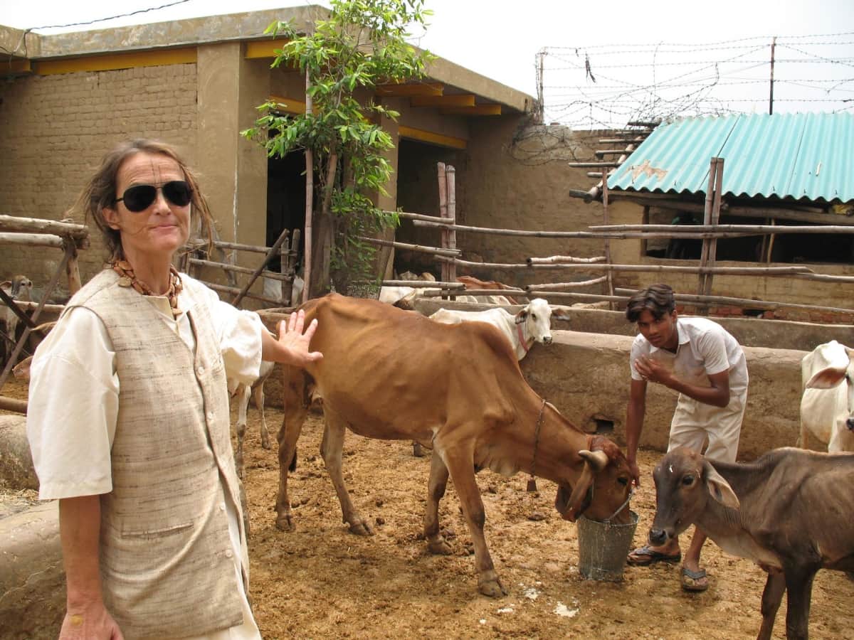 German woman saves lakhs of cows in Brij, now will got padma shri