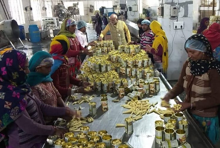 Padma Awards 2019, Padma Shri Award to Kanwal Singh Chauhan of Haryana  for Farming Technique