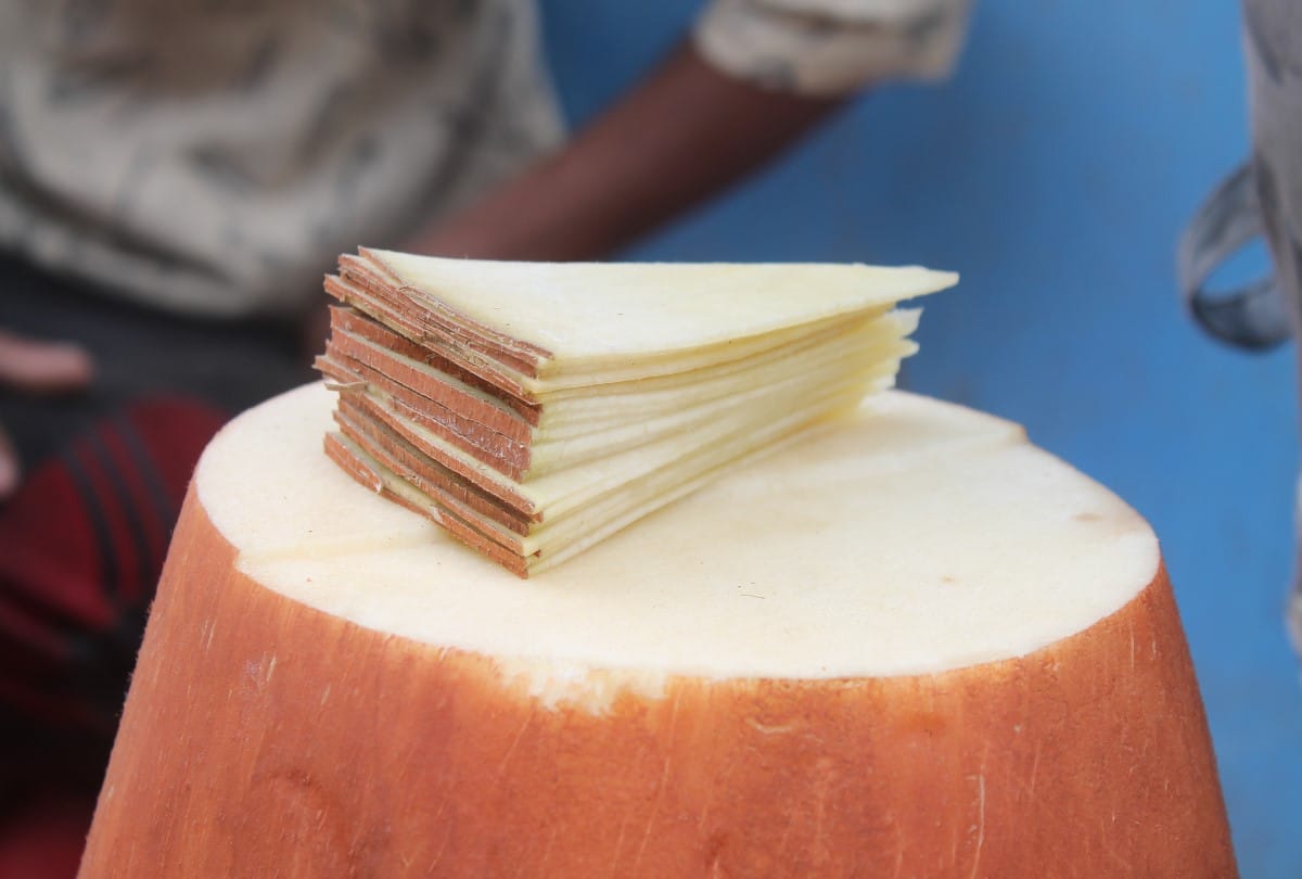lord rama also like this fruit available in kumbh mela