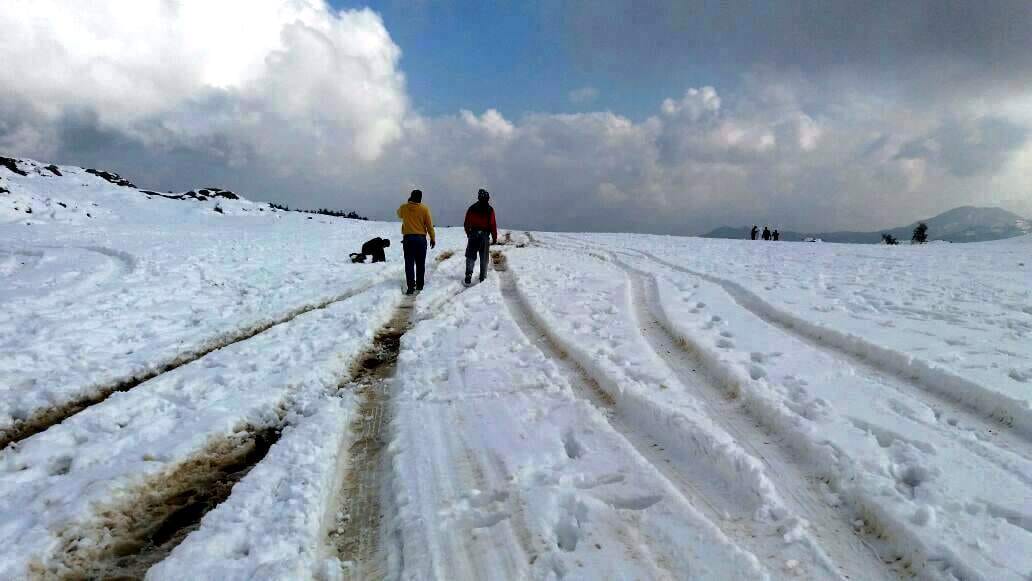 Weather Update:Delhi Tourist stuck in snowfall at chakrata from seven days