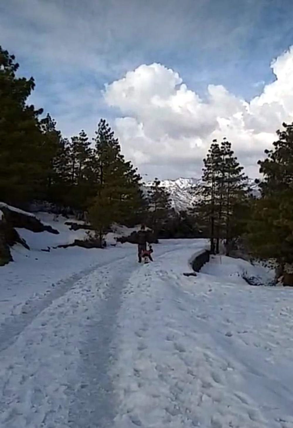 Weather Update:Delhi Tourist stuck in snowfall at chakrata from seven days