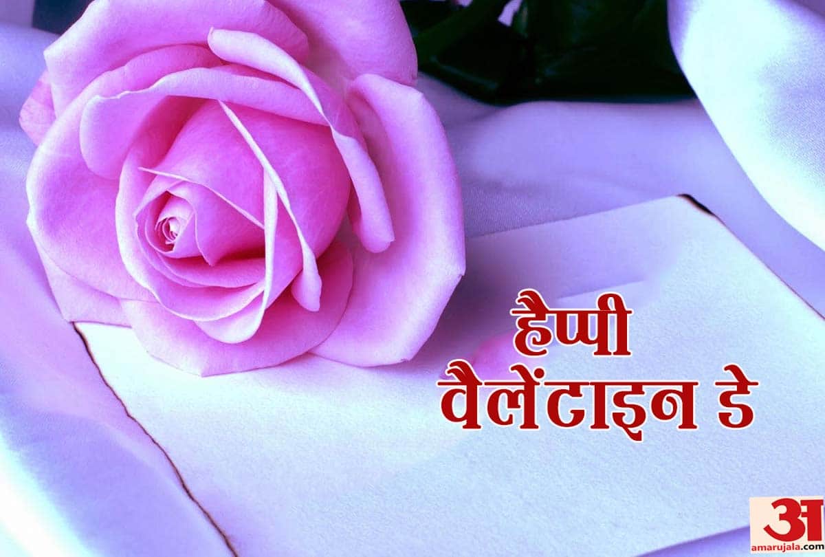 Valentine day 2020 Keep some things in mind before giving rose