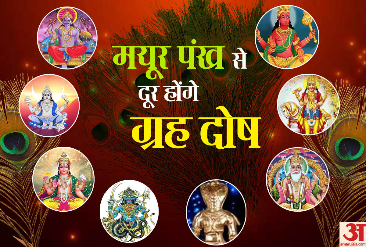 janmashtami 2021 remove vastu dosh with peacock feathers