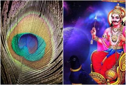 know the reasons and remedies of Shani dosh in kundali