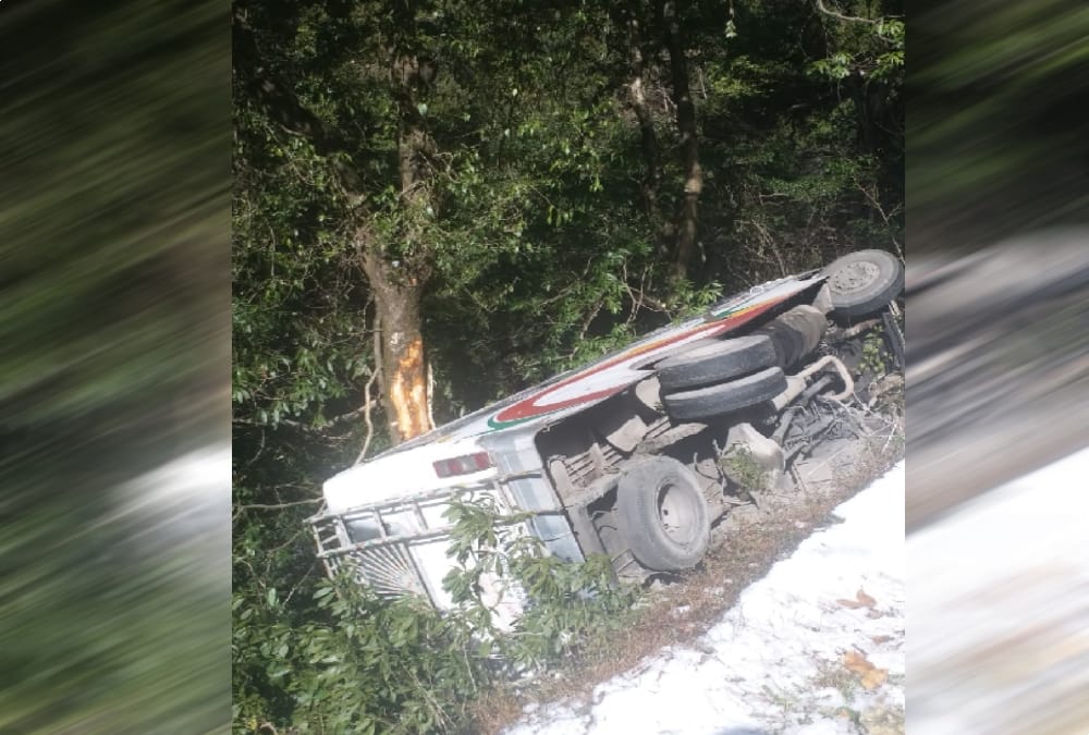 Bus skid on snow and Hang on tree in ramnagar