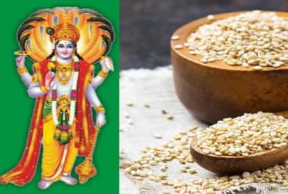 Shattila Ekadashi 2022 Use sesame seeds til on Shatila Ekadashi in these 6 ways you may get desired results