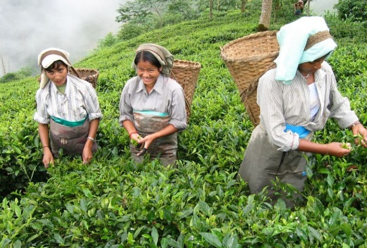 Four Business to Earn Money, Investment, Enterprenure