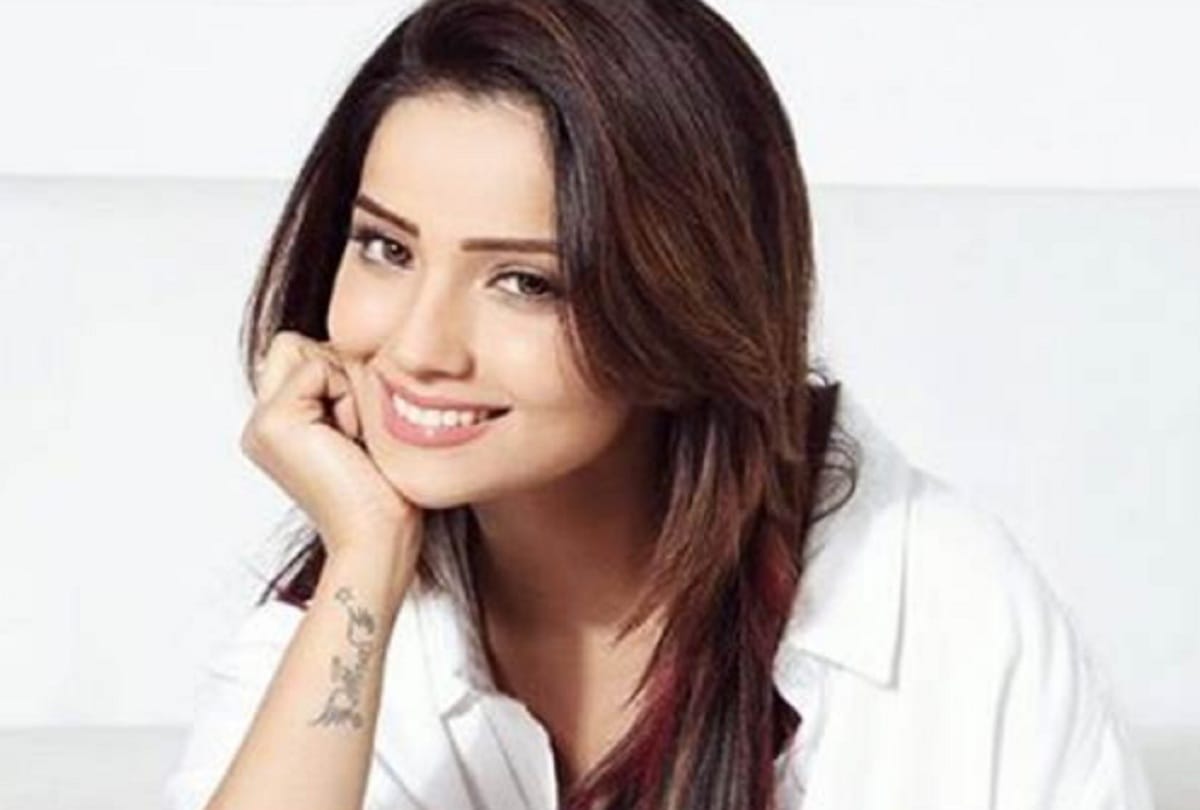 Popular TV Bahus played negative role Aamna Sharif Hina Khan Aashka Goradia Adaa Khan Anita