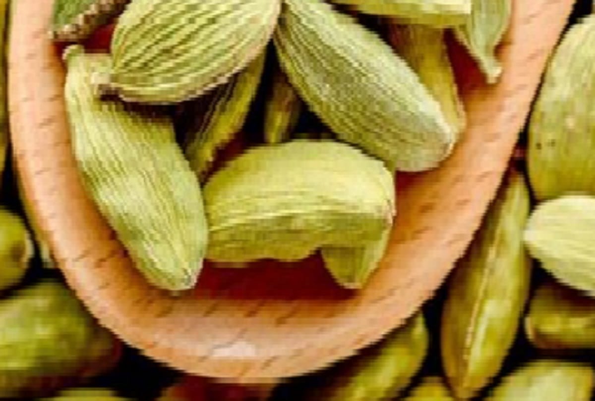 know the benefits of green Cardamom