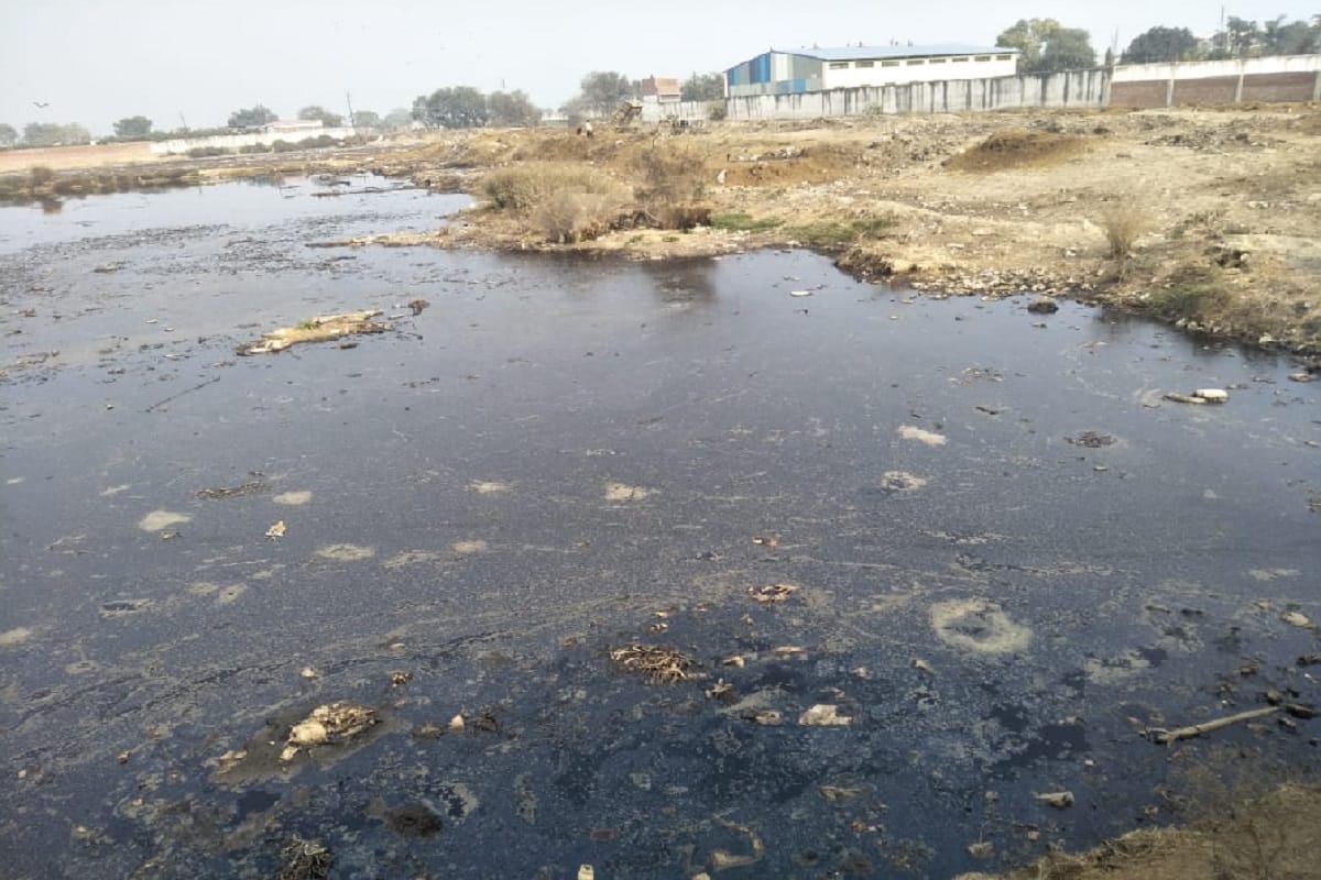 Haryana government given strict instructions to keep constant vigil on contaminated water in rivers