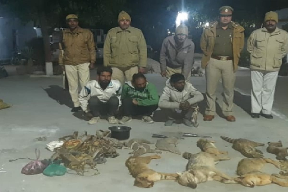 Saharanpur, gang was busted in UP accused smuggled wildlife