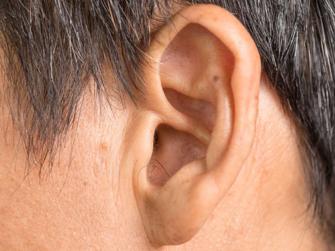 know your enemy and friend by ear shape