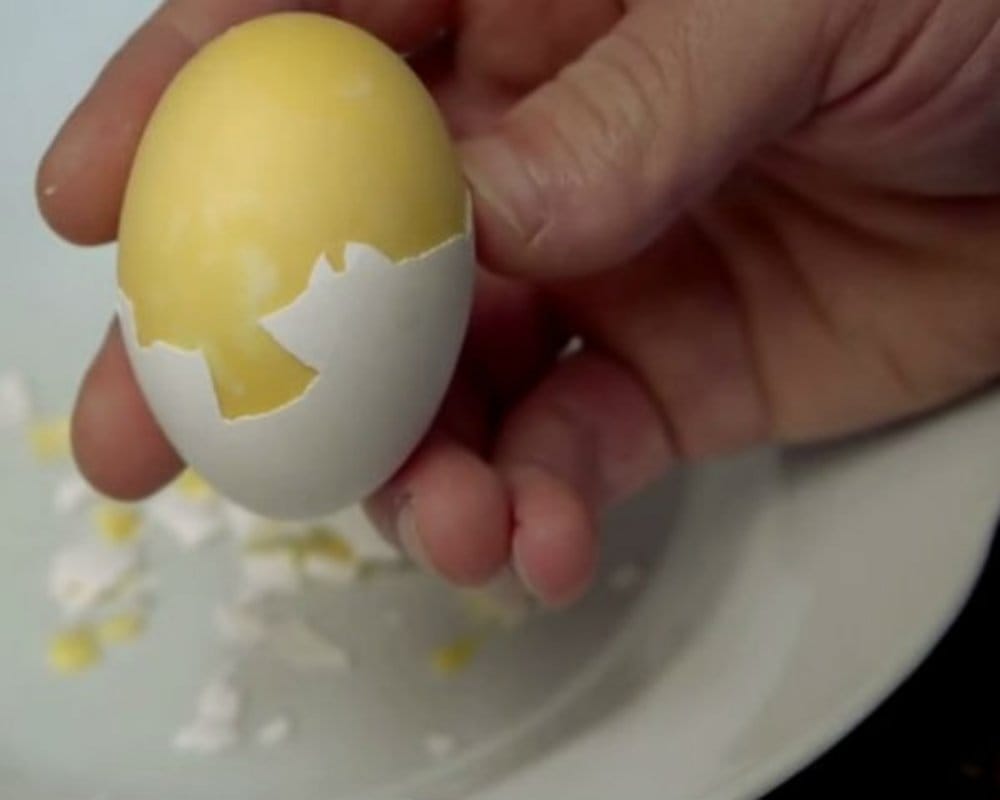 Bone substitute prepared from egg shells at IIT Hyderabad