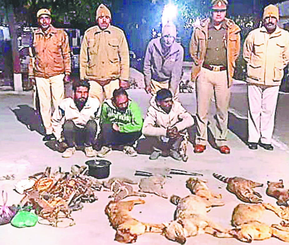 Arrested for smuggling animals