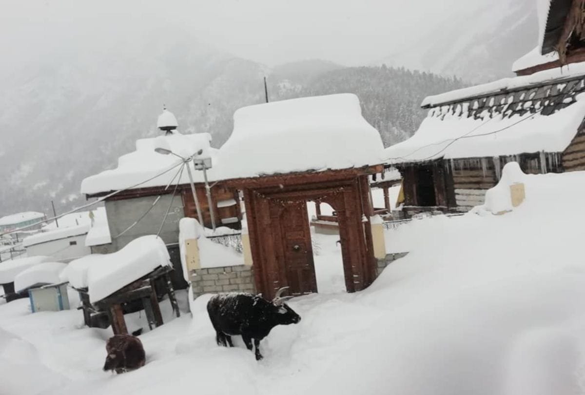 fresh snowfall recorded in himachal on 30 january