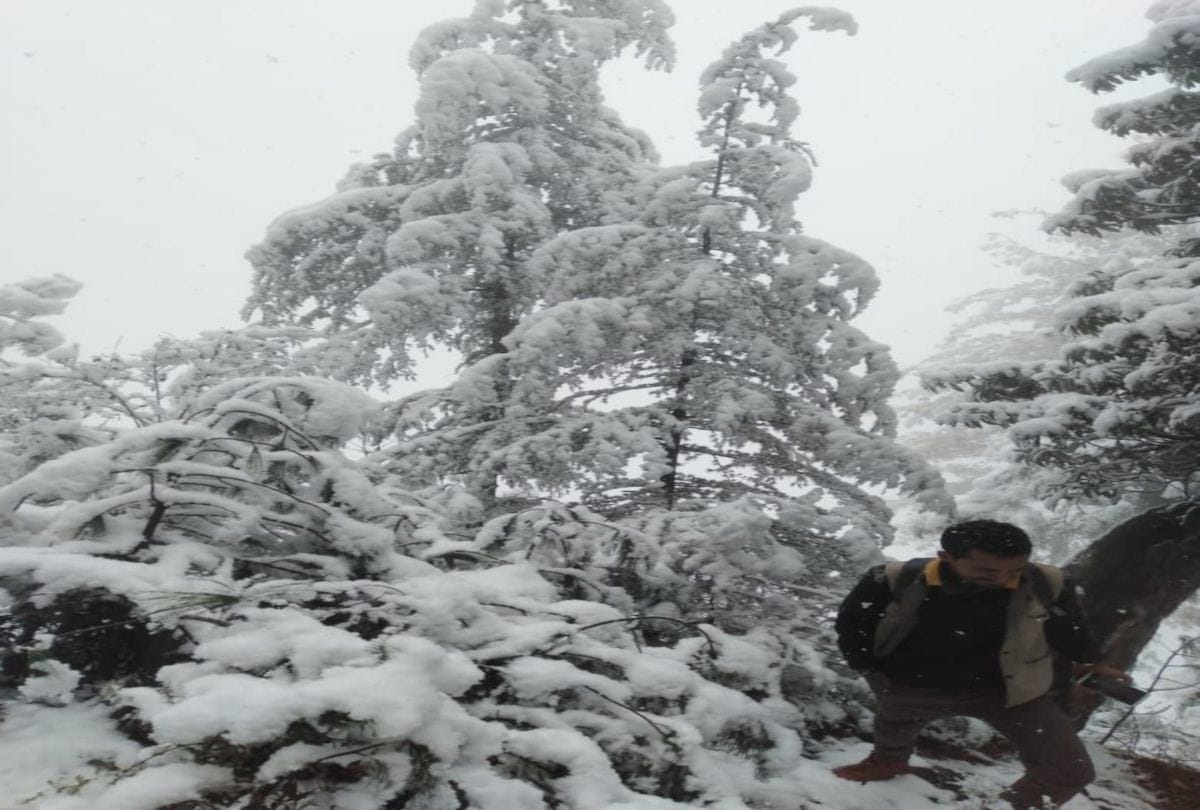 fresh snowfall recorded in himachal on 30 january