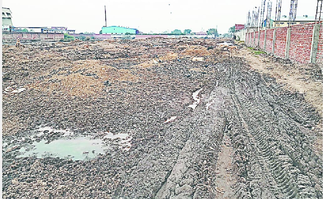 ktan kiya aur meat factory ke bhar faink diye avsesh