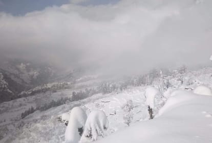 many roads closed for traffic in himachal after fresh snowfall