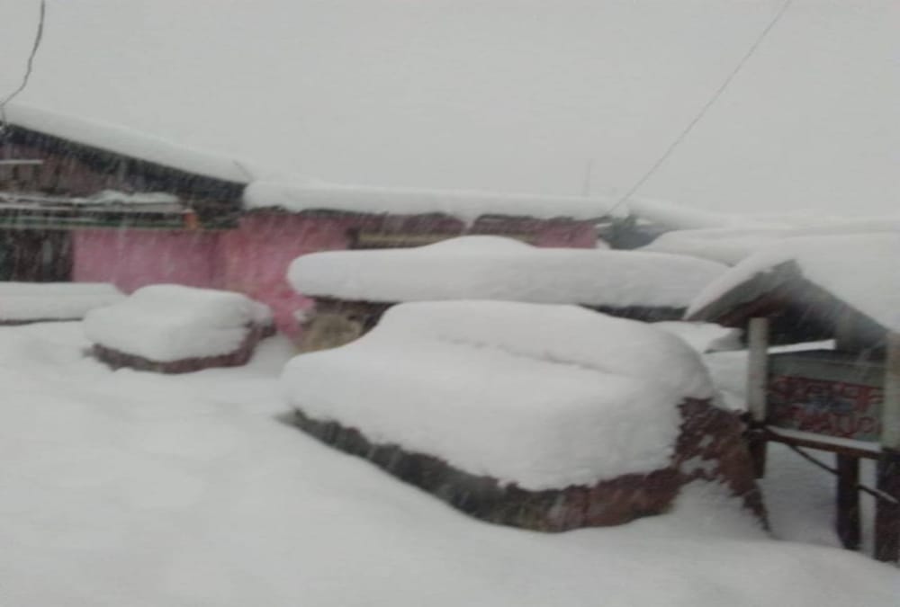 Snowfall covered kedarnath dham till 11 feet snow schools closed in munsiyari