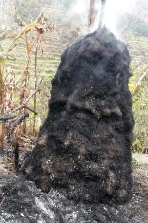 Together 28 Leaks of Burnt Grass