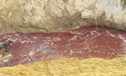 BHU hospital and trauma center dump medical waste in open in varanasi