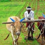 Union budget 2019 piyush goyal benefits for farmers