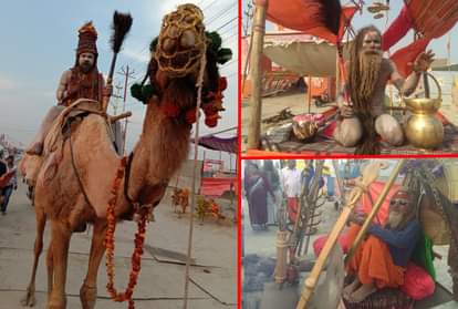 kumbh mela 2019 funny baba visit to mauni amavasya shahi snan in prayagraj