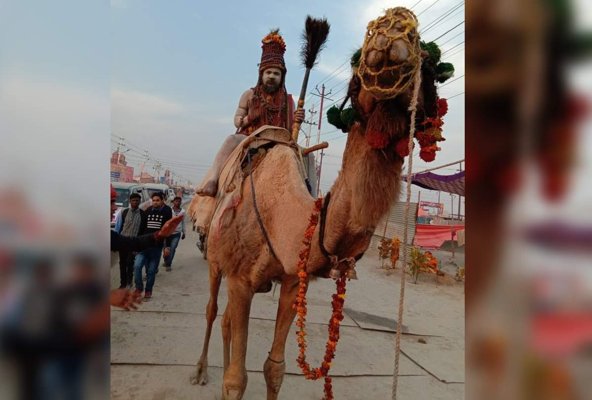 kumbh mela 2019 funny baba visit to mauni amavasya shahi snan in prayagraj