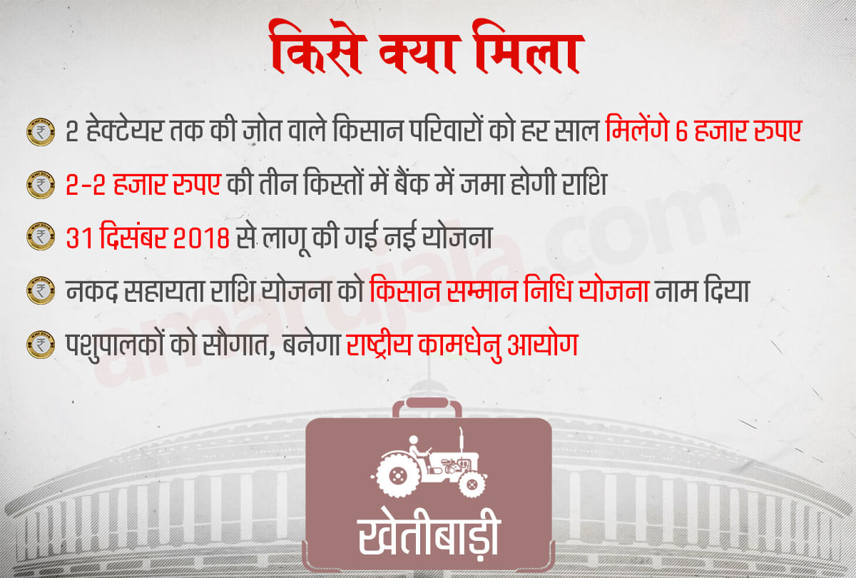 interim budget 2019 Know what you got