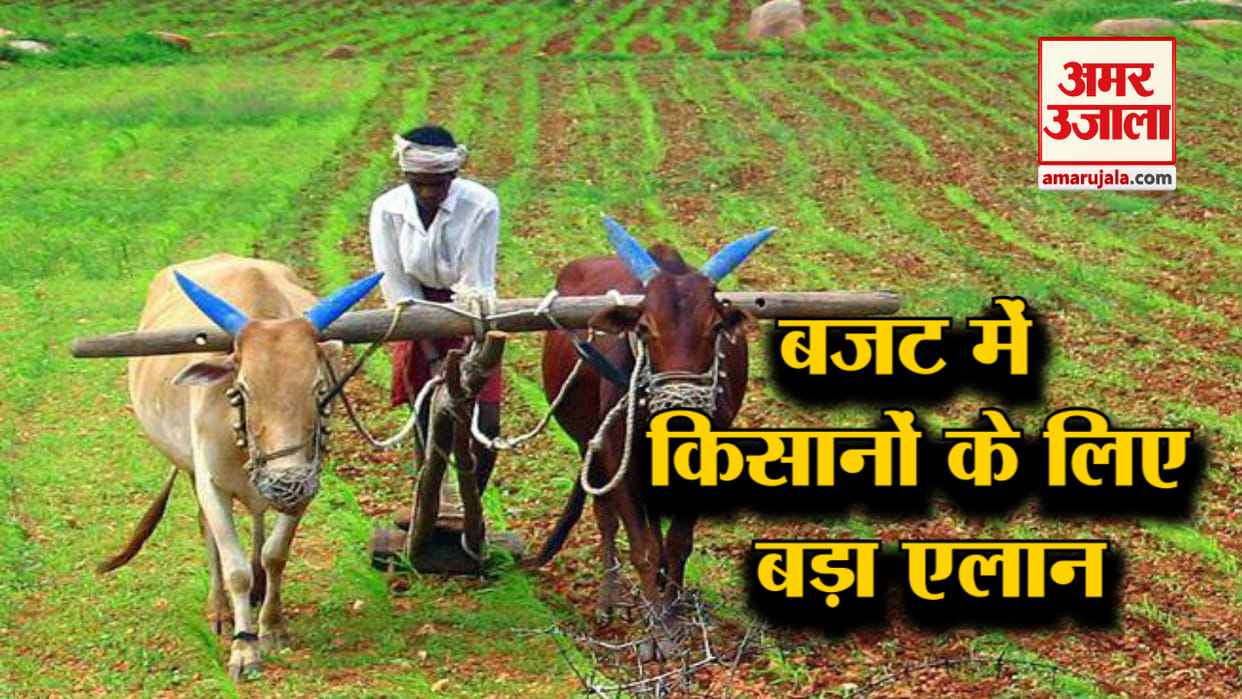 Union Budget 2020: Uttarakhand 10 lakh farmers Will affect after big Announcement