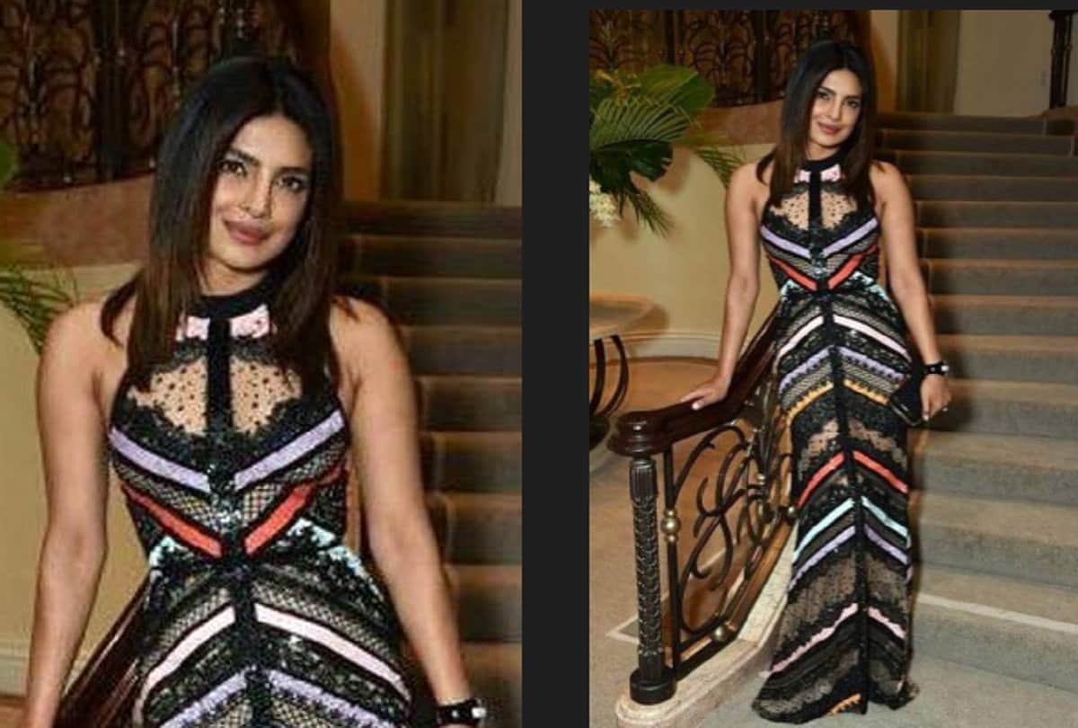 priyanka chopra new hollwood movie will not be released in india
