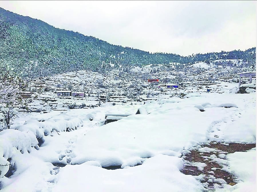 Snowfall covered kedarnath dham till 11 feet snow schools closed in munsiyari