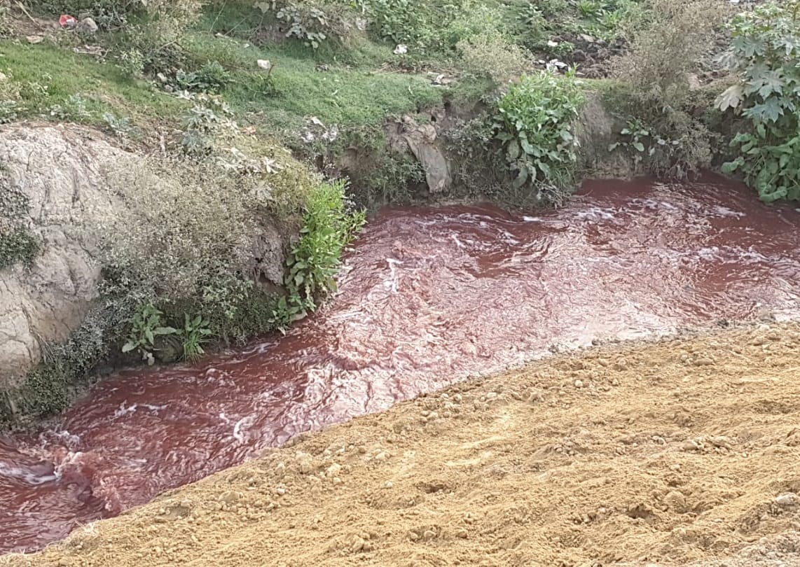 Modi constituency varanasi ganga and varuna river became red due to slaughter house