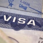 Senators Request Trump To Temporarily Suspend H1b Other Guest Workers Visas