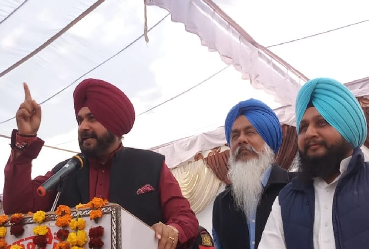 Navjot Singh Sidhu reached in Harike Wetland of Firozpur