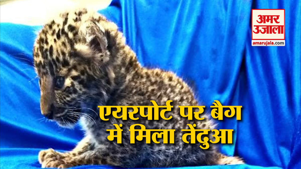 एयरपोर्ट