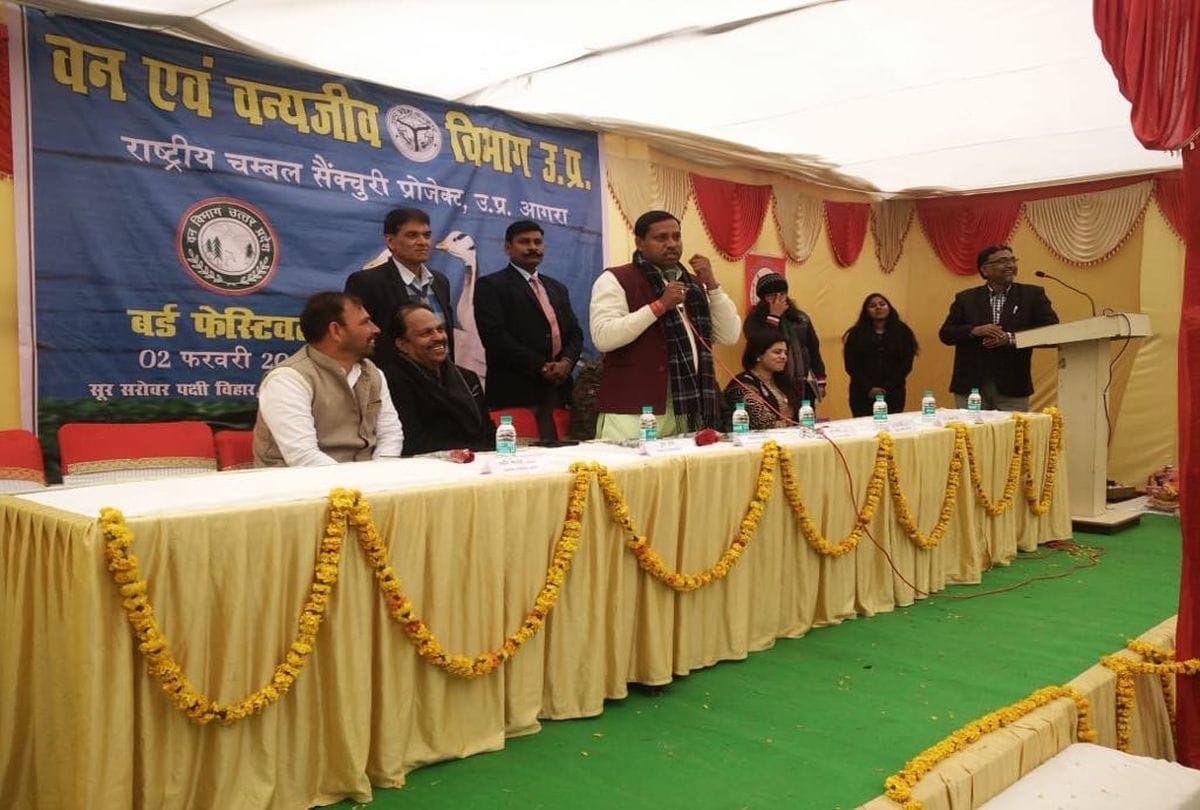 Bird Festival in sur sarovar bird sanctuary Kitham in agra