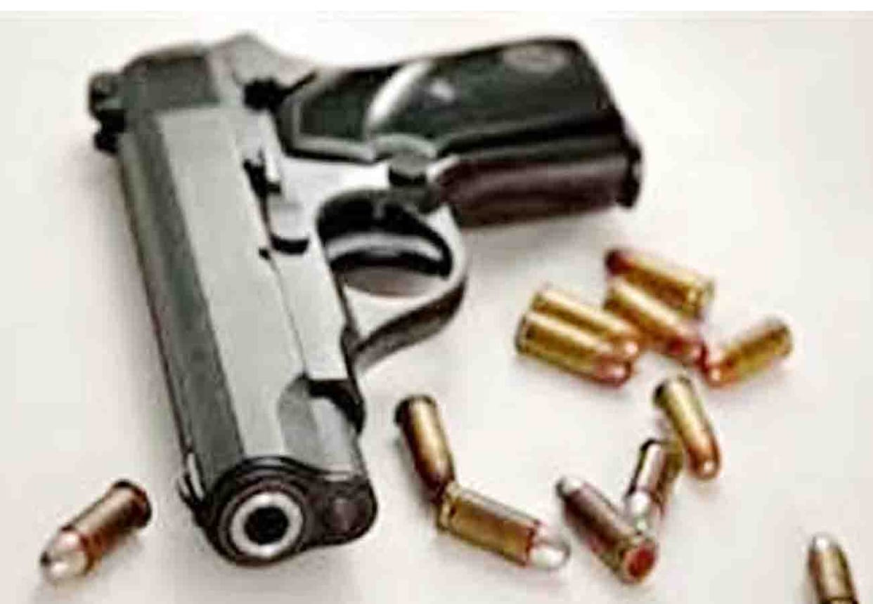 news related to Transfer of Arms License