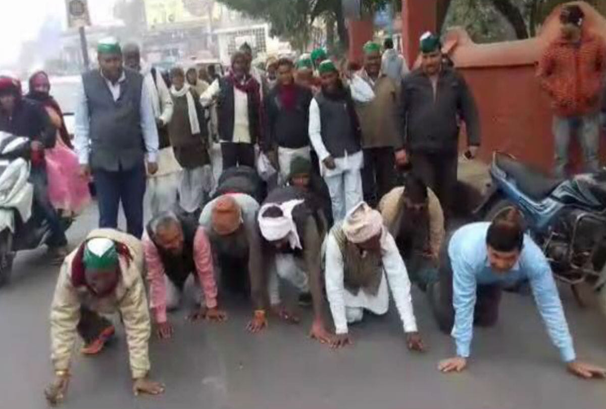 farmers protests in unique style over stray animals in agra