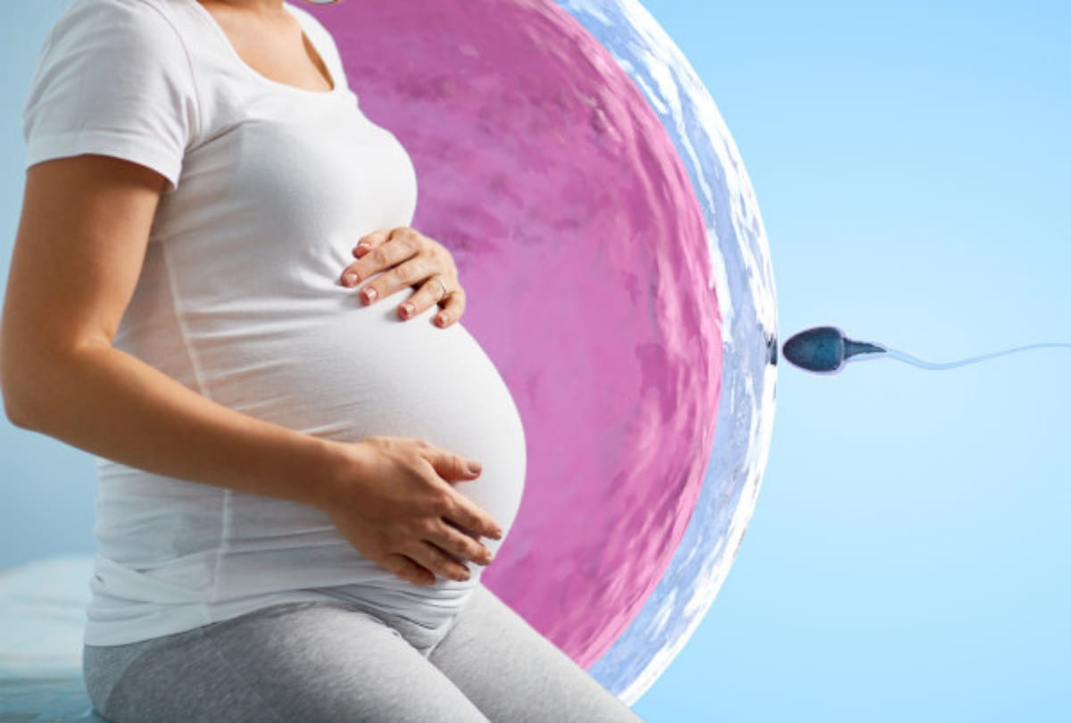 successful techniques of IVF and its four modern technology