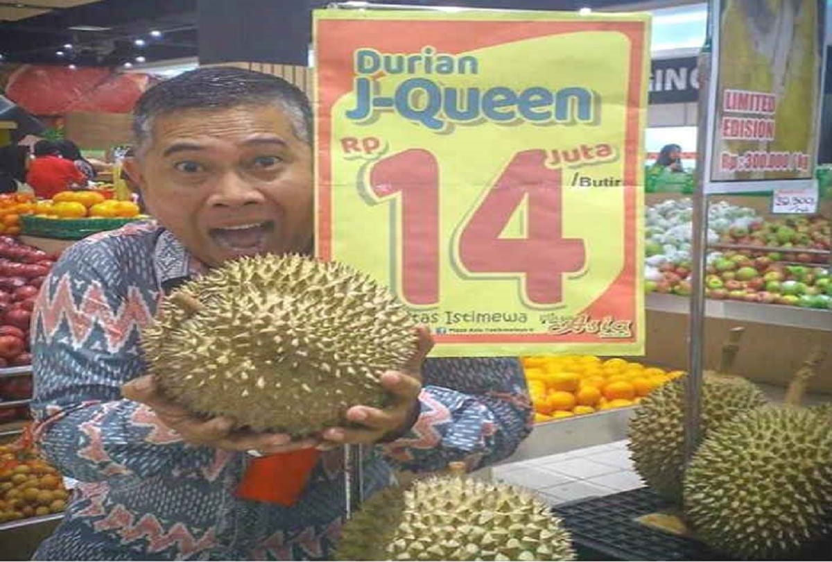 durian fruit j queen the worlds smelliest fruit price rs 71000 in indonesia