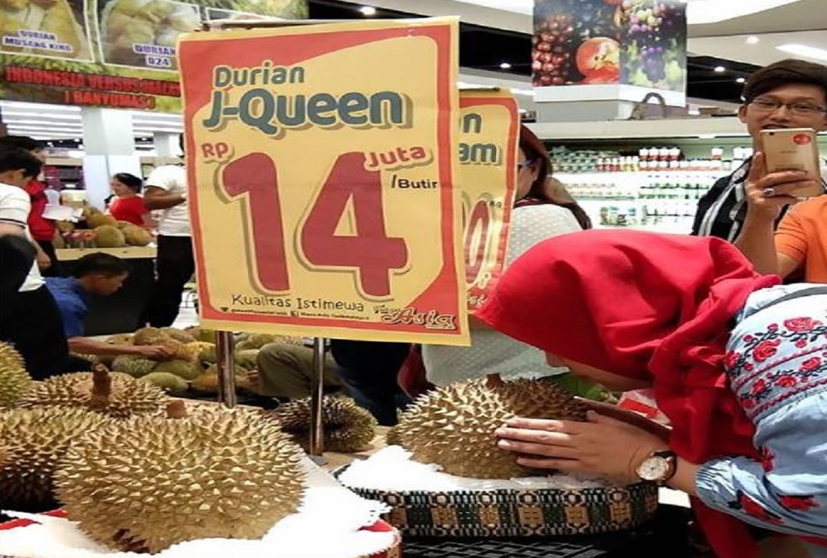durian fruit j queen the worlds smelliest fruit price rs 71000 in indonesia
