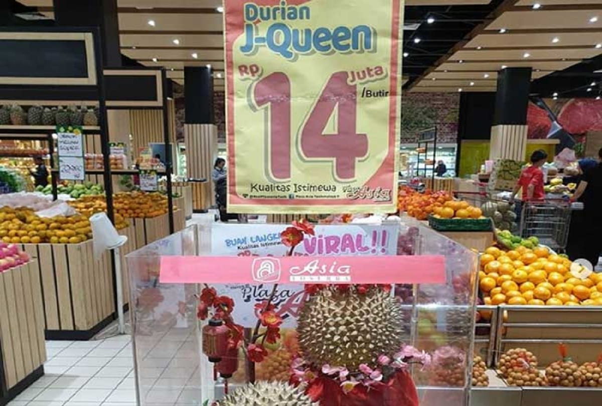 durian fruit j queen the worlds smelliest fruit price rs 71000 in indonesia