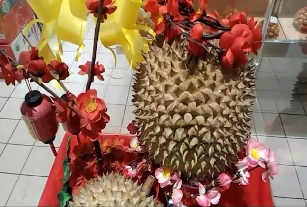 durian fruit j queen the worlds smelliest fruit price rs 71000 in indonesia